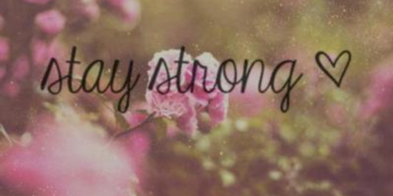 anne_hartjee's profile banner image