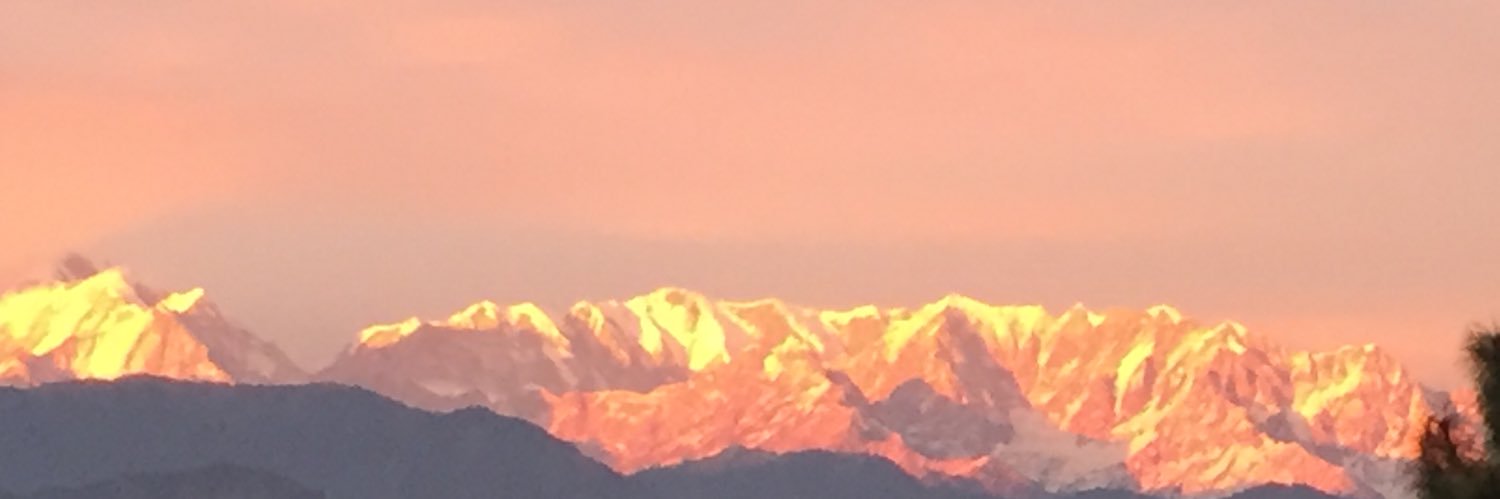 Ramesh Chandra banner