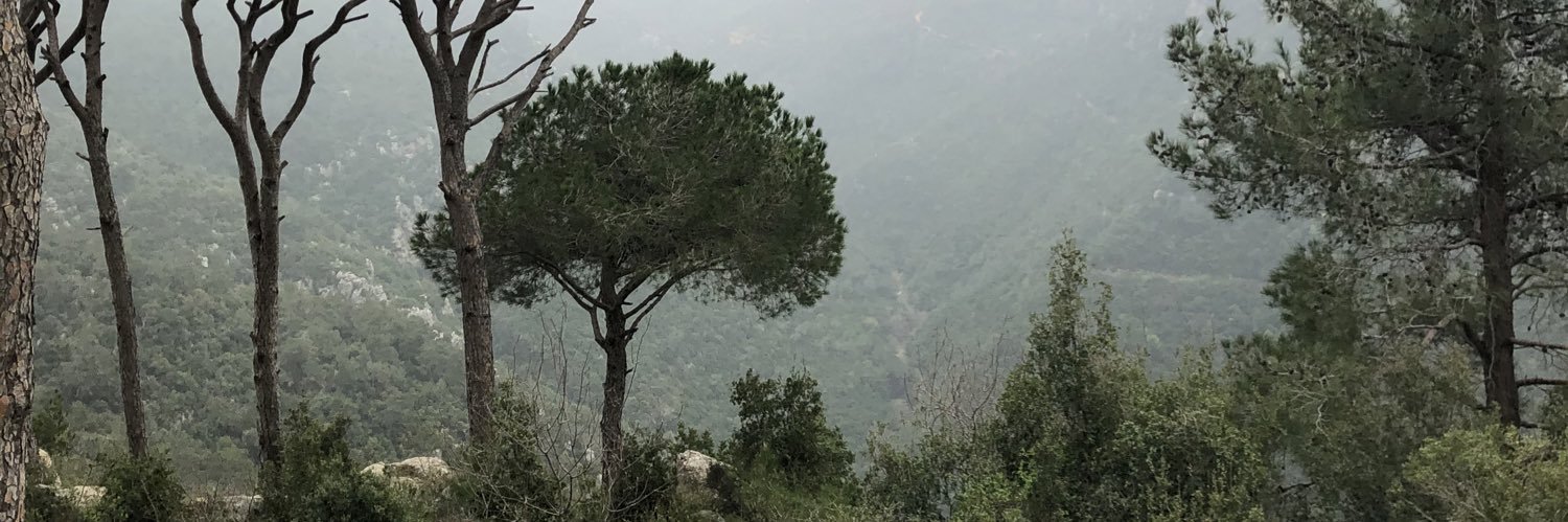 ghadarf's profile banner image