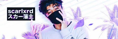 Fusi banner