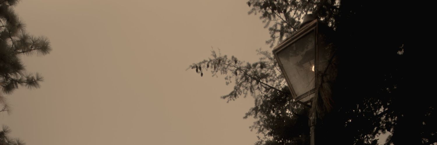 TxmmyMiranda's profile banner image