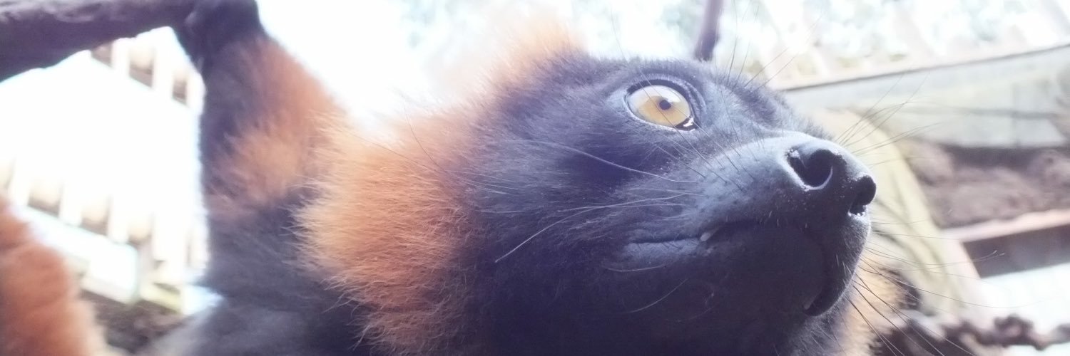 Machinekimmy's profile banner image