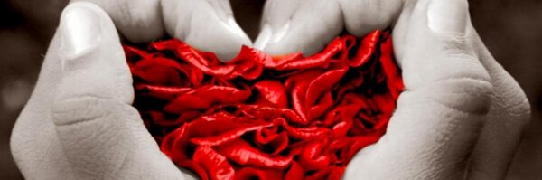 RebeCaceres Profile Banner