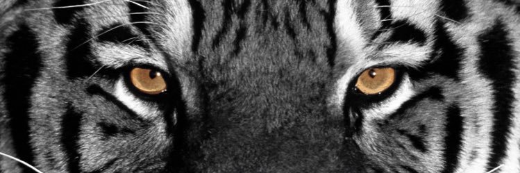 Lewis5Ty's profile banner image