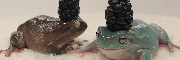 Somebody_JP's profile banner image