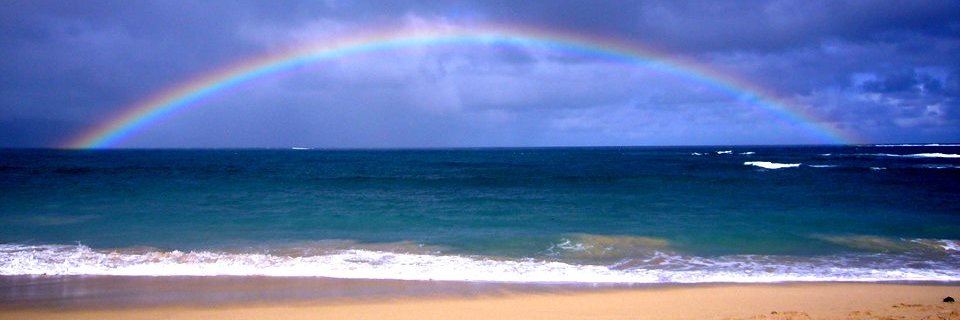 plus_hawaii's profile banner image