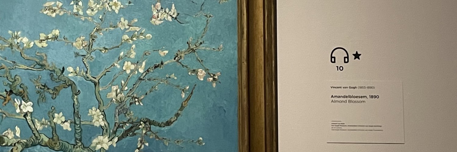 wheeoutin's profile banner image