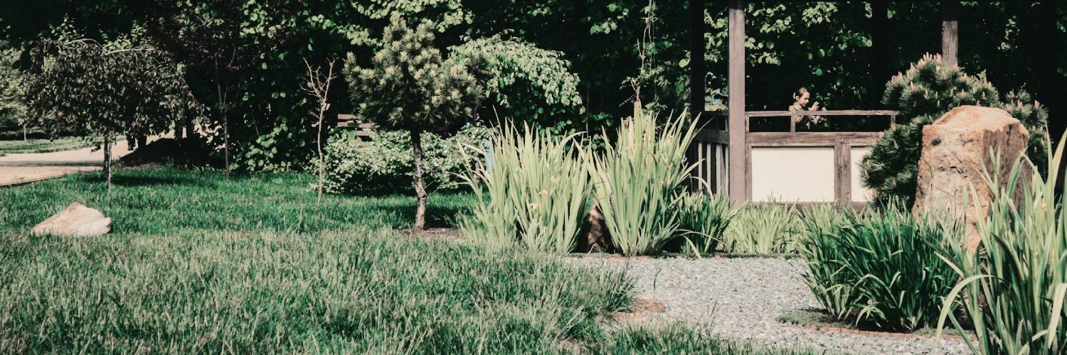 ͏͏͏͏ً banner
