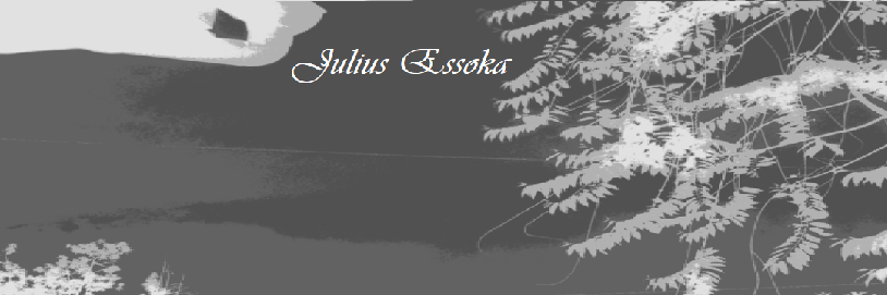 Julius Essoka 😇 banner
