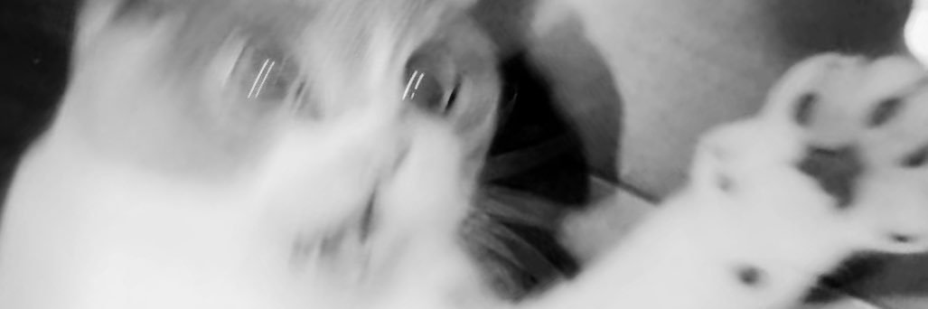 Chiii banner