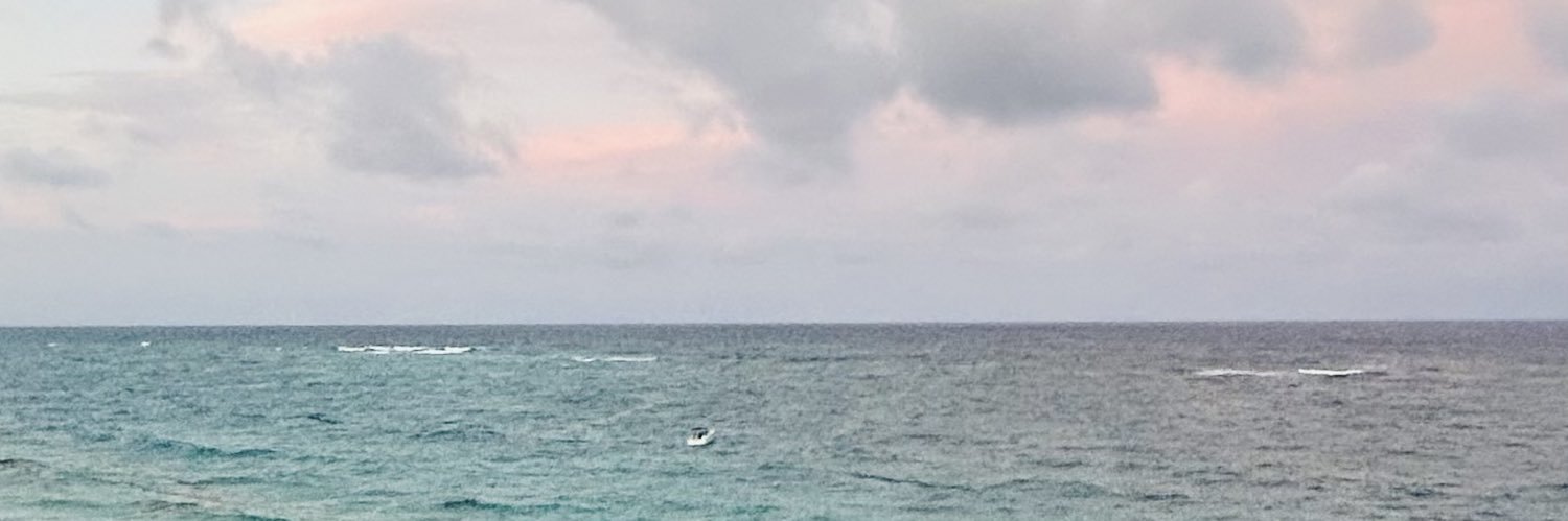 fetchingskies's profile banner image