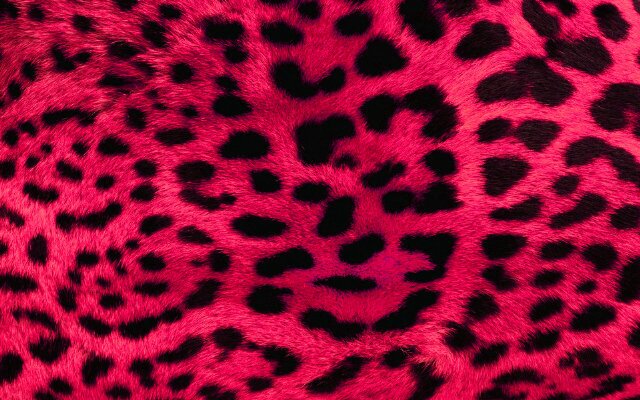 danyravillar's profile banner image