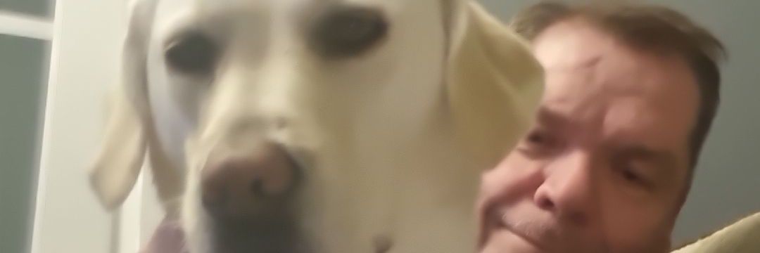 ParksBarry's profile banner image