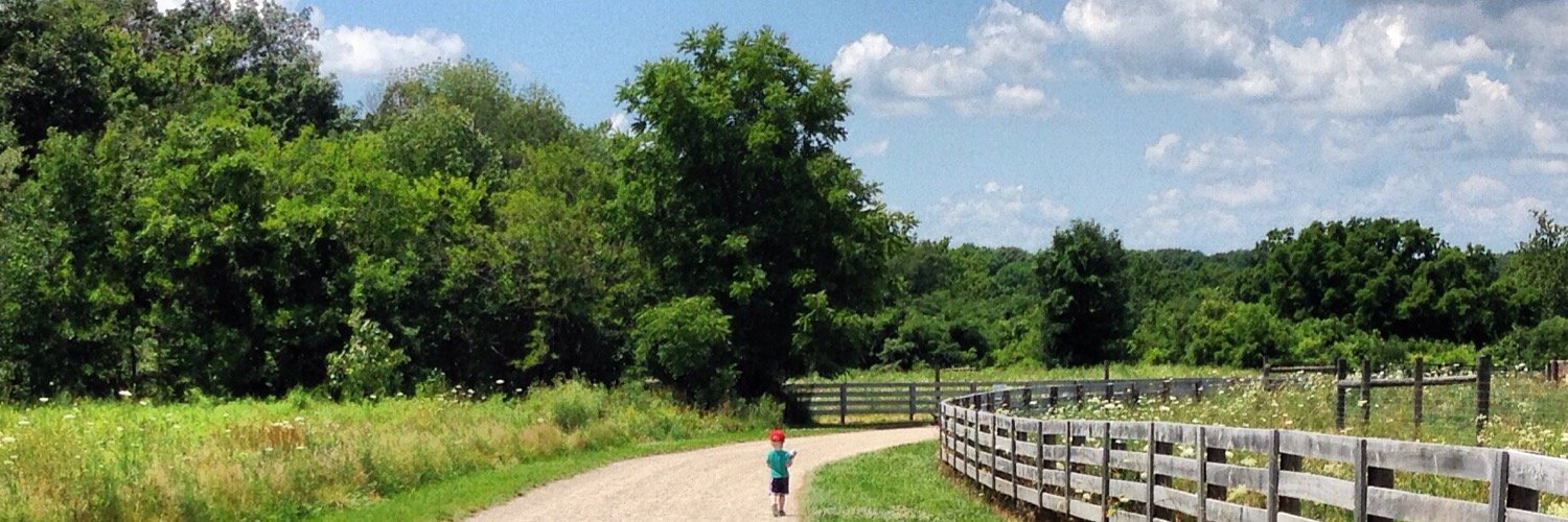 Allison Pickett banner