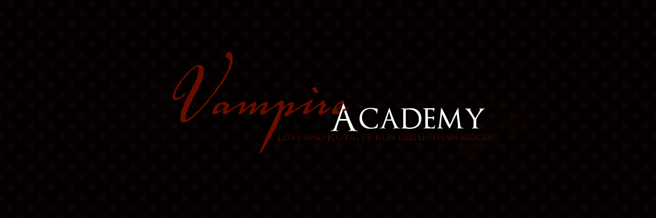 _VAcademy_'s profile banner image