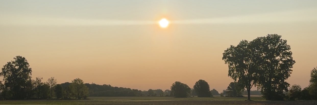 letsfrickfrack's profile banner image