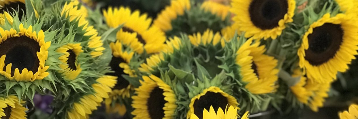 contenarry's profile banner image
