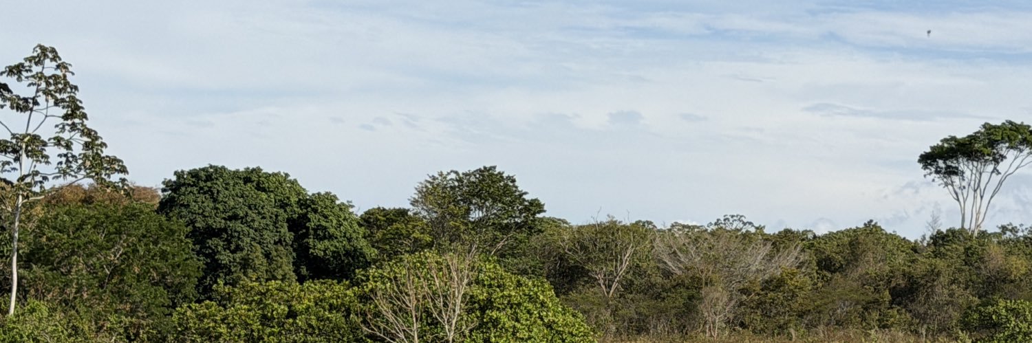 Abílio Ferro. banner