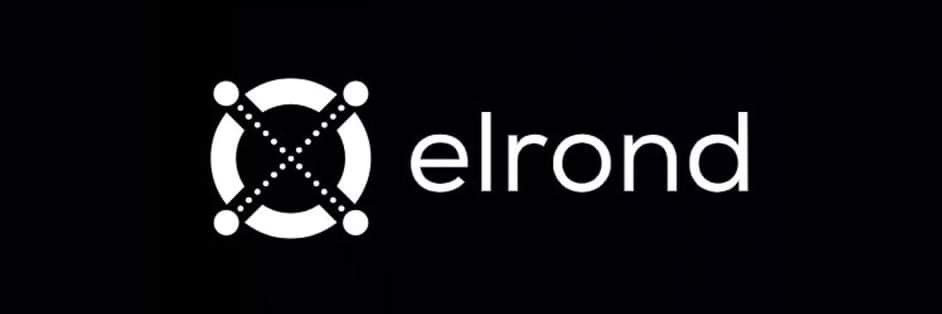 elena.potato ⚡️🌱aka sweet.potato banner