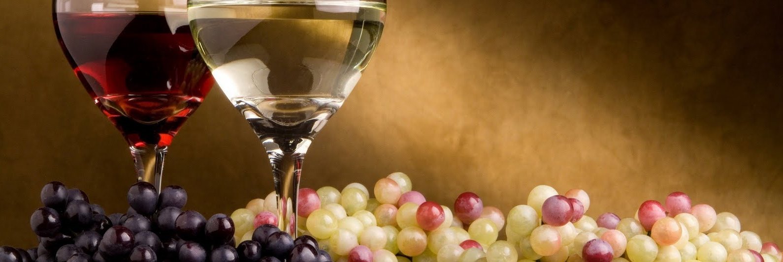 theWinetree's profile banner image