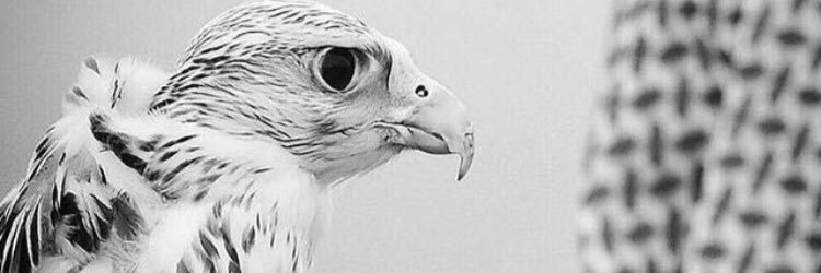 AlsadyM's profile banner image