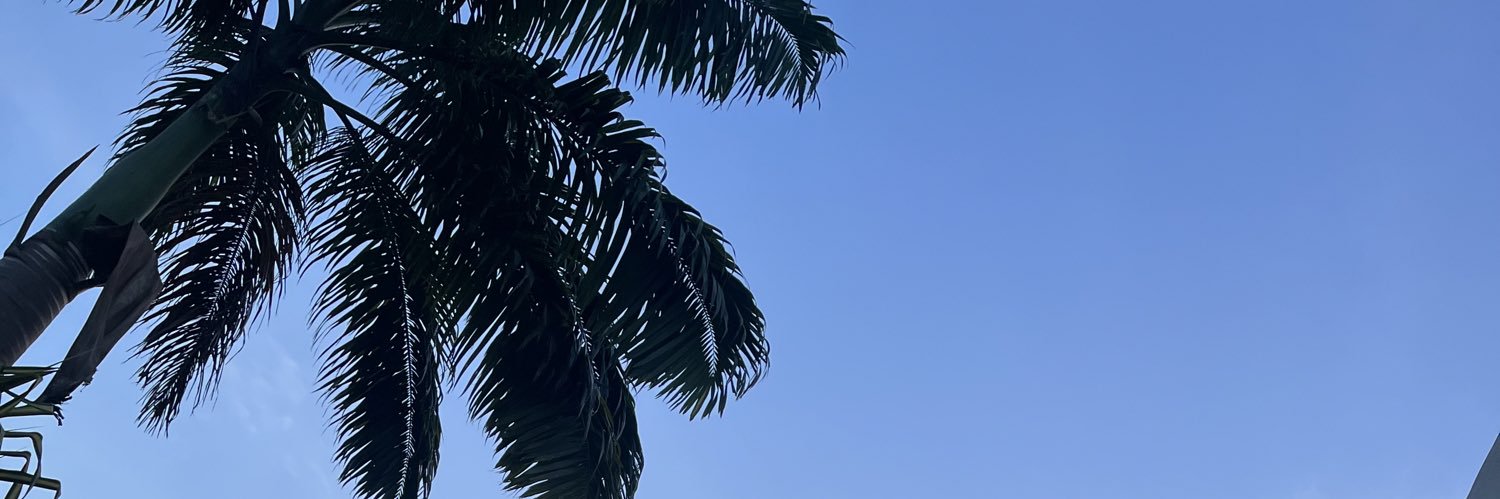 Squidbeylia's profile banner image