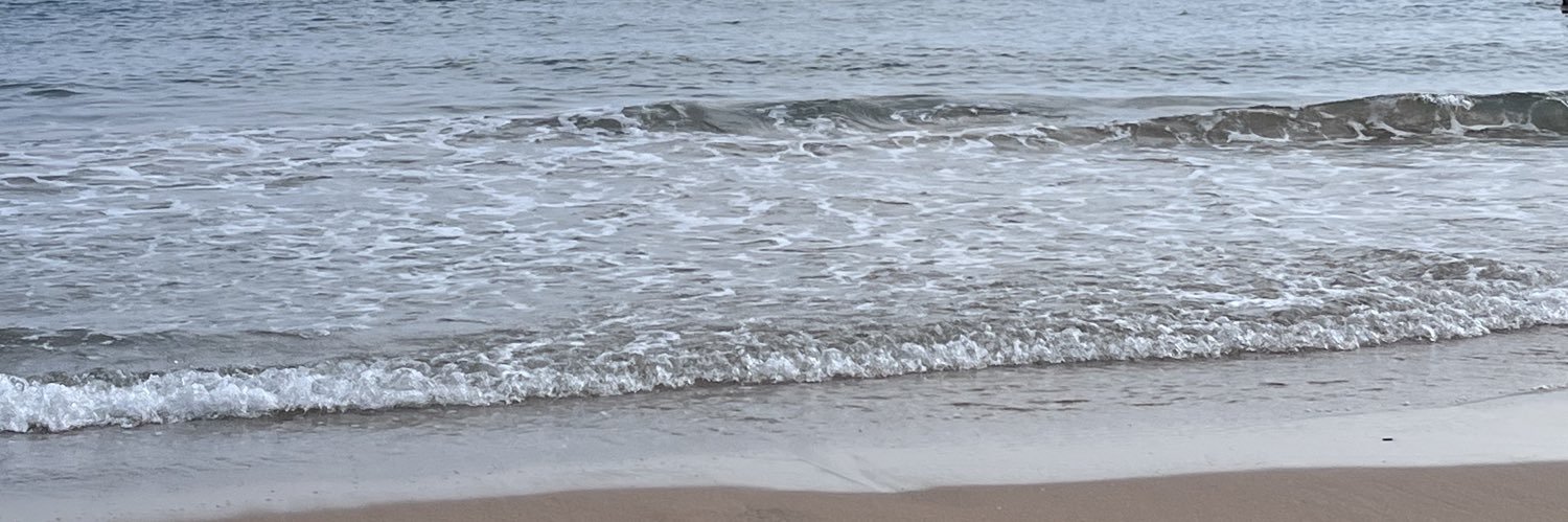 malakmdz's profile banner image