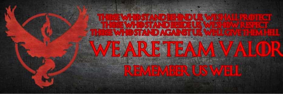 TeamValorInt's profile banner image