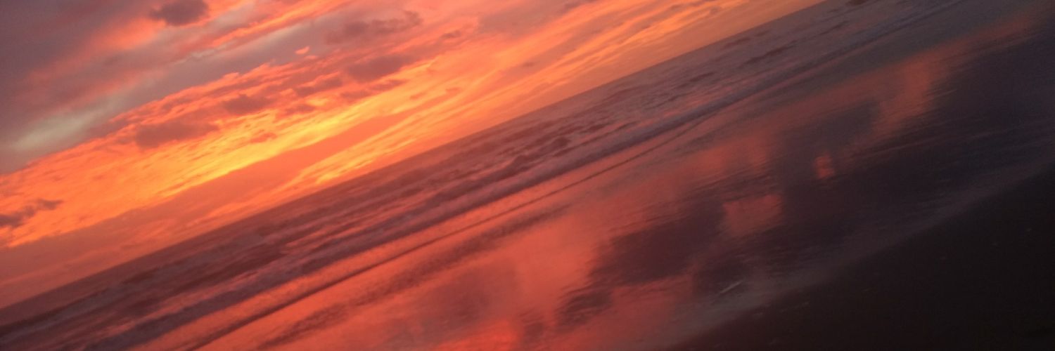 BassiSofia's profile banner image