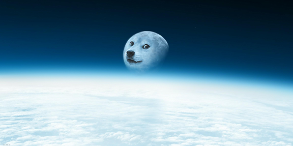 shobtc's profile banner image
