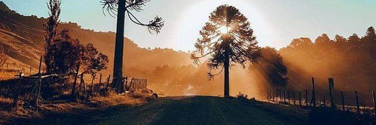wilmarlpez's profile banner image