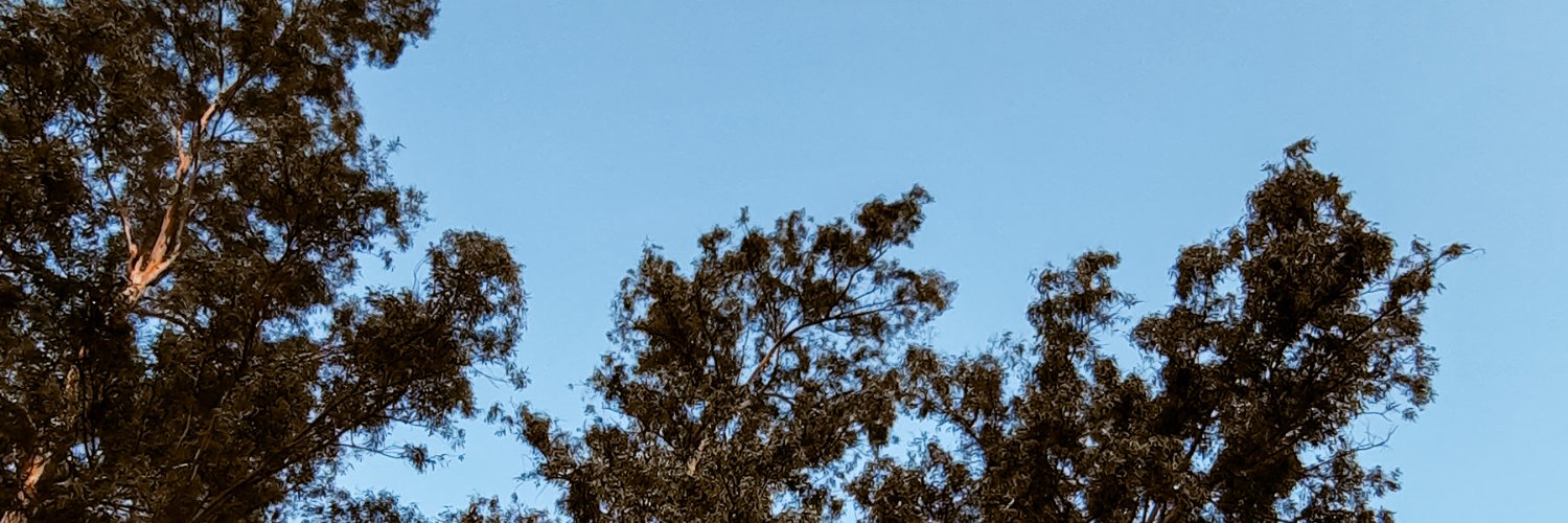 Maaaidanaaa's profile banner image