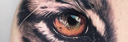 KmiloGo's profile banner image