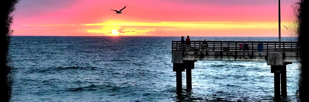 northpadrepics's profile banner image