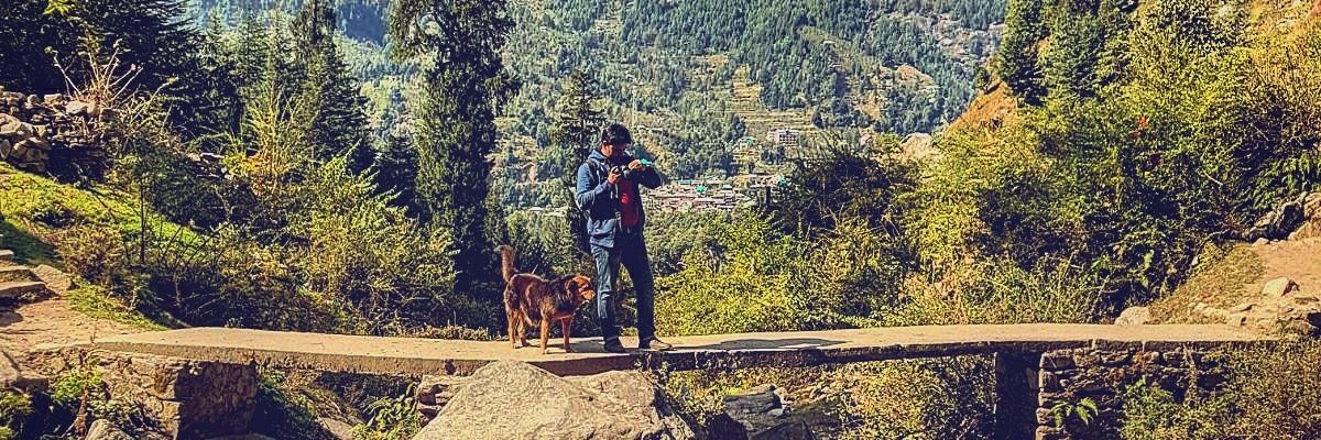 sdaadil's profile banner image