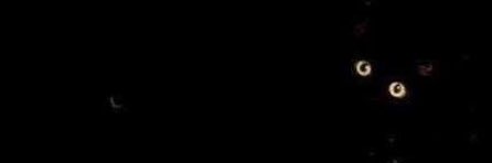 amir____97's profile banner image