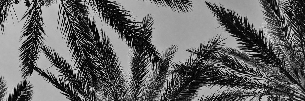 GraceDucote's profile banner image