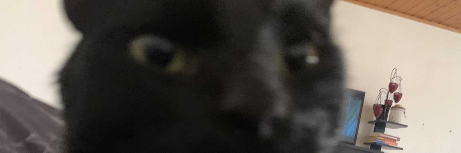 roey_margot's profile banner image
