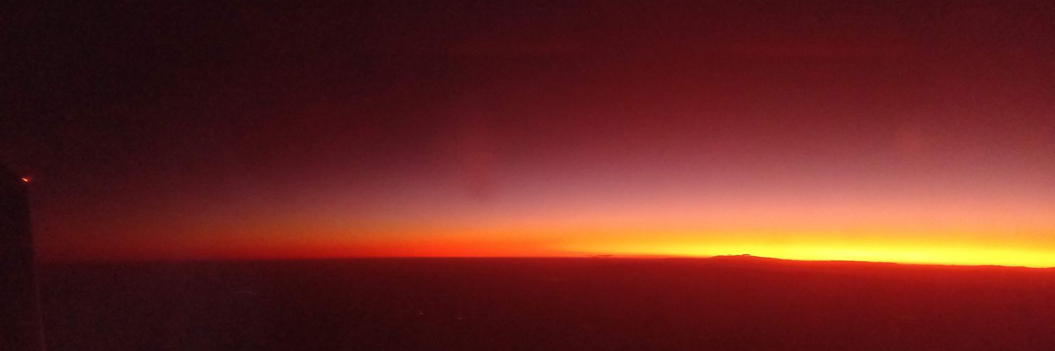 mongylardi's profile banner image