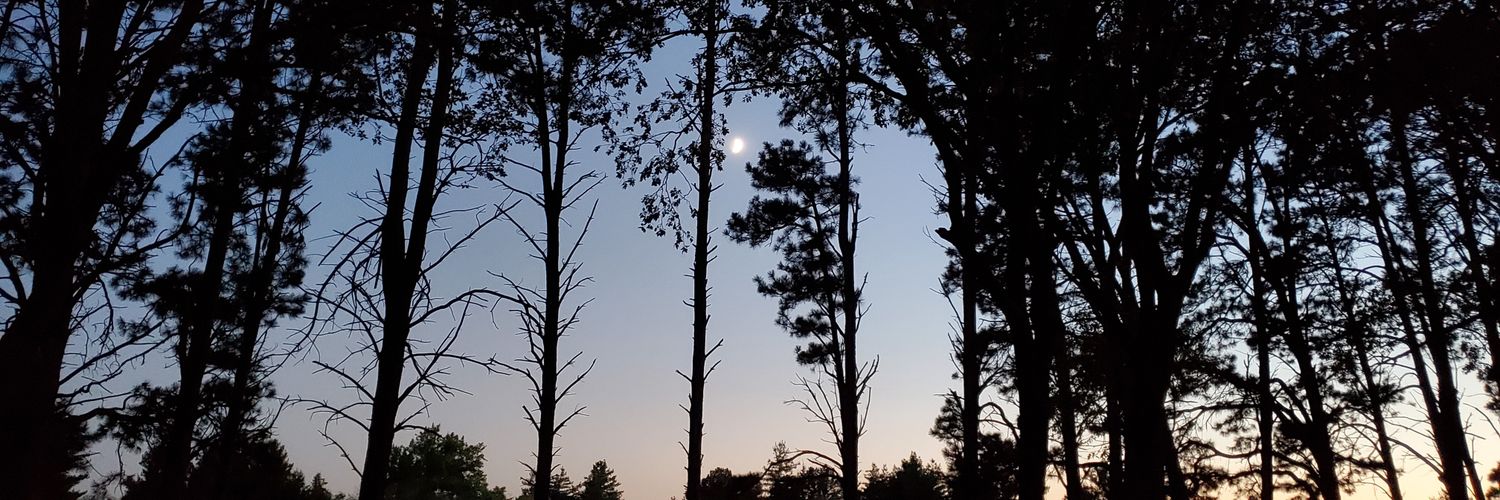 draconislupus's profile banner image