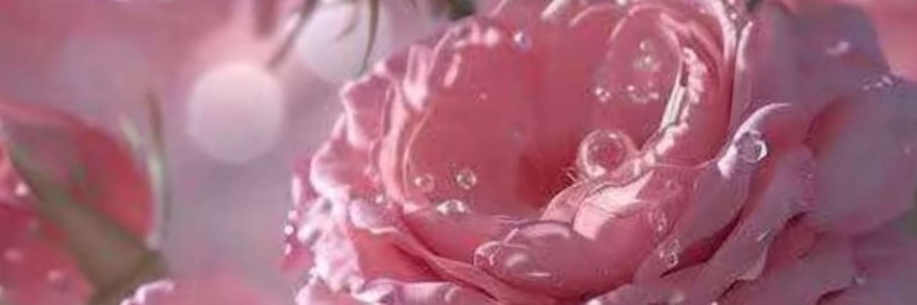 Hudaabdul45's profile banner image