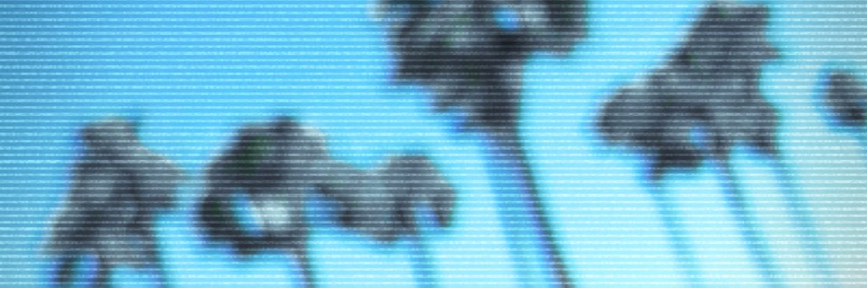 efe_jazz's profile banner image