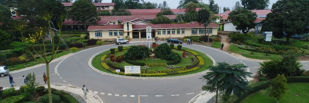 Ntare Stories's banner