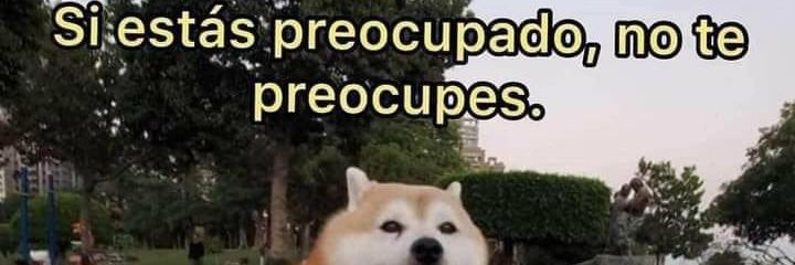joetheraccoon's profile banner image