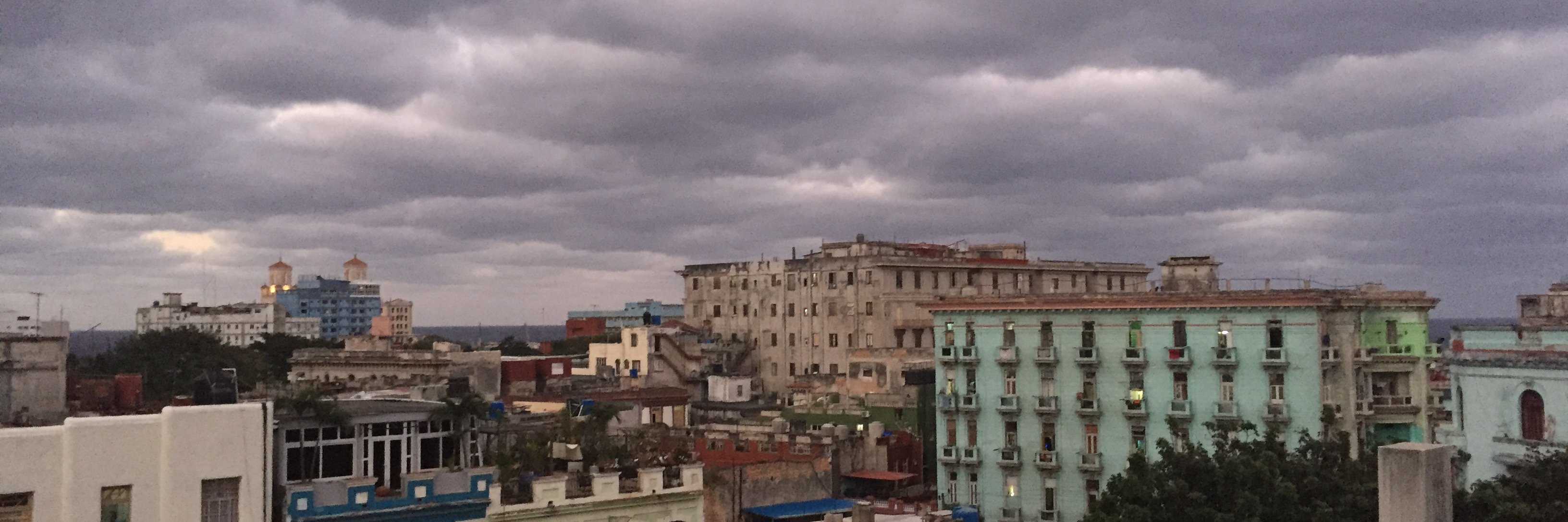 Sarah Molinari banner