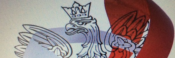 Laurunia3 Profile Banner