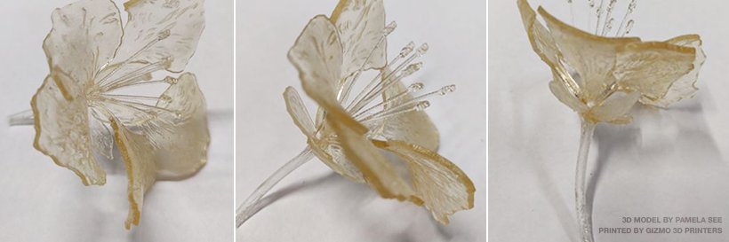 Michelle du Toit #Alicein3Dprinting banner