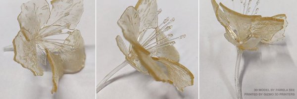gizmo3Dprinter Profile Banner
