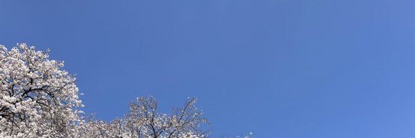 mawarimithino Profile Banner