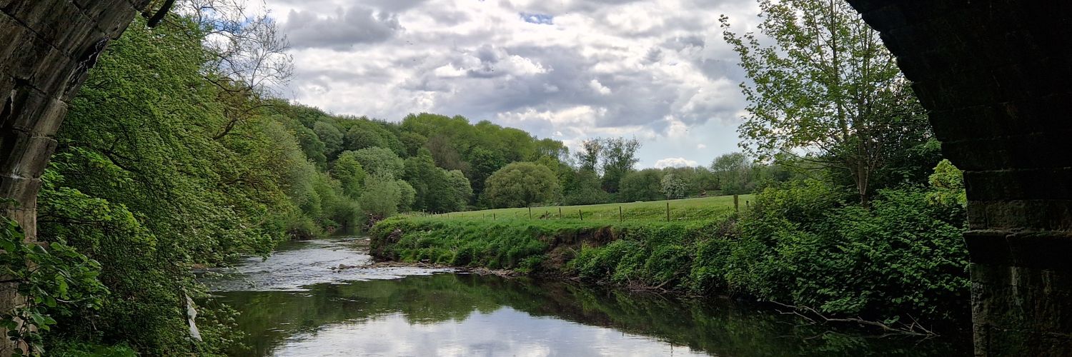 Niall Love 🎗️ banner